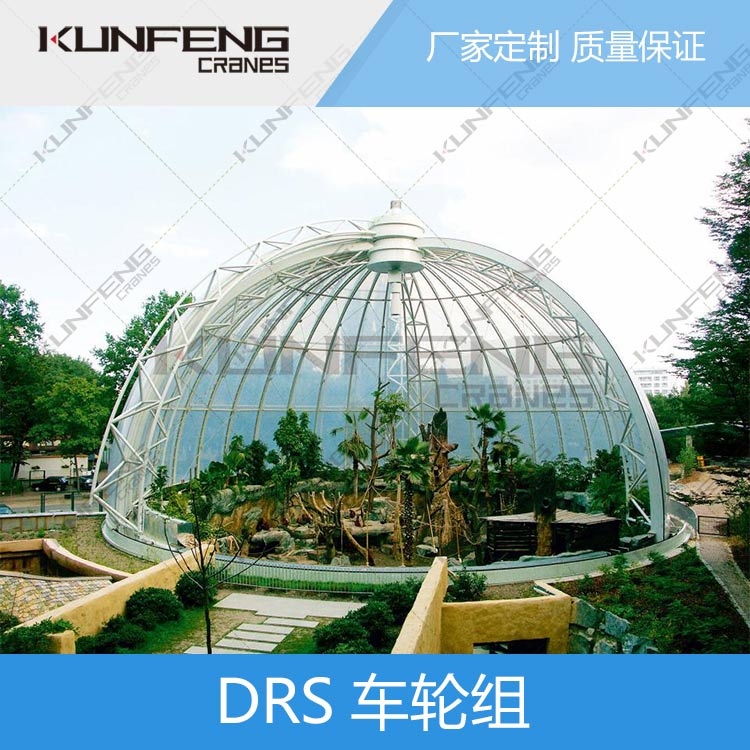 DRS车轮组