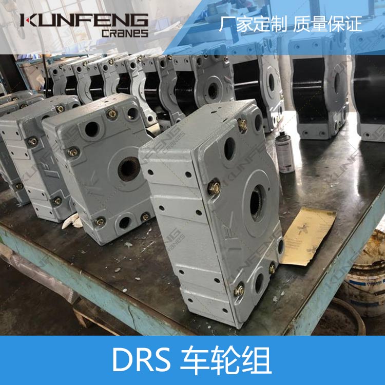 DRS315行走轮箱
